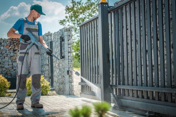 Animal Enclosure Cleaning in Colona, IL