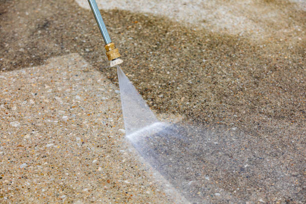 Best Winterizing Services  in Colona, IL