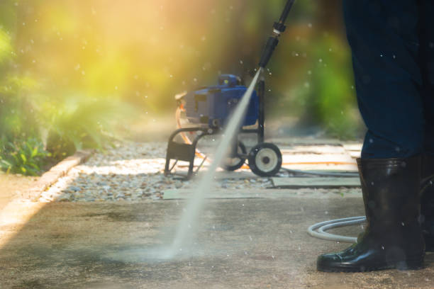 Best Soft Washing  in Colona, IL