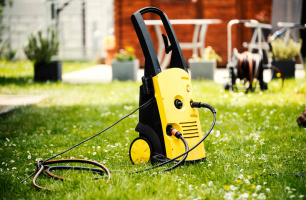 Best Dumpster Area Cleaning  in Colona, IL